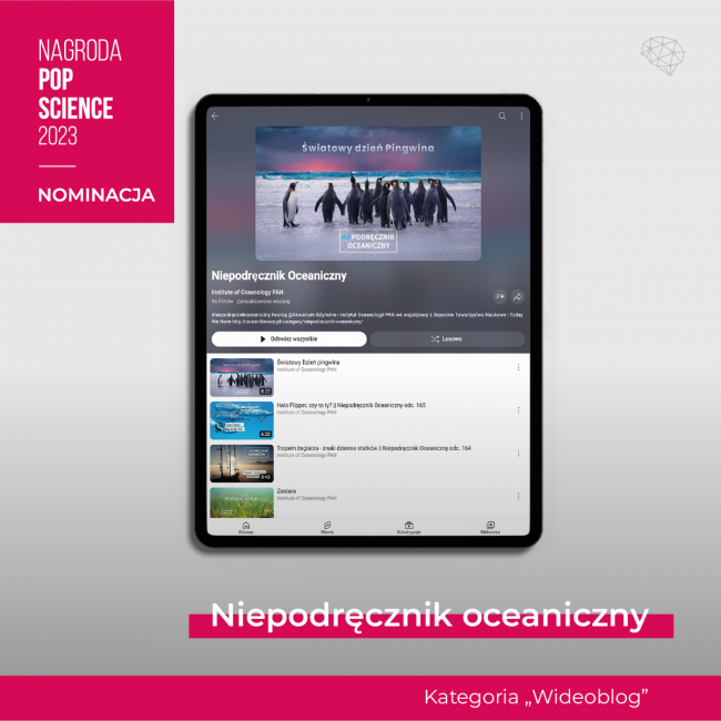 pop_nominowani_indywidualne_14_0